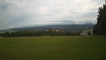 Zvičina