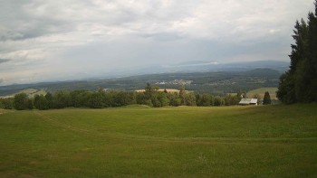 Zvičina