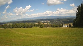 Zvičina