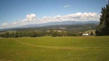 Zvičina