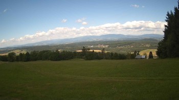 Zvičina