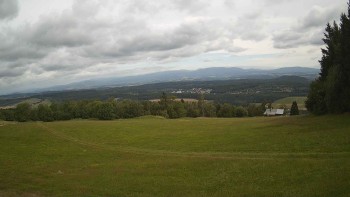 Zvičina