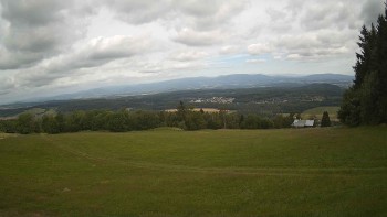 Zvičina