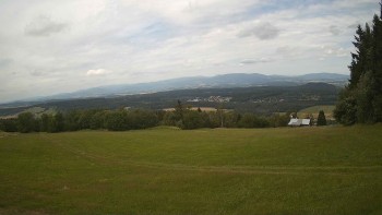 Zvičina