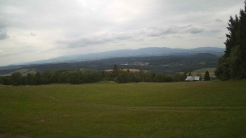 Zvičina