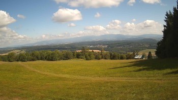 Zvičina