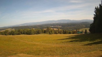 Zvičina