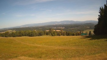 Zvičina