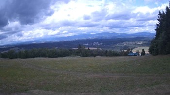 Zvičina