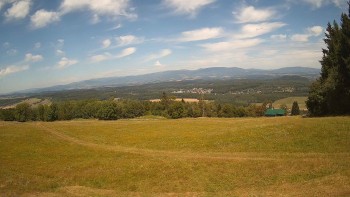Zvičina