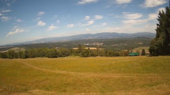 Zvičina