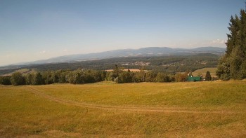 Zvičina