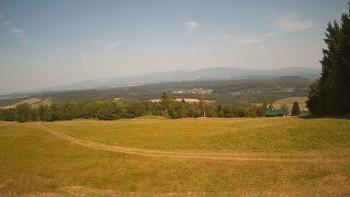 Zvičina