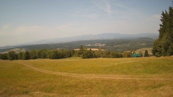 Zvičina