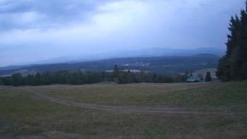 Zvičina