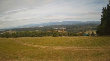 Zvičina