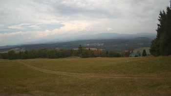 Zvičina