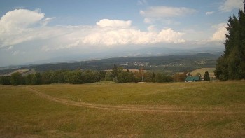 Zvičina