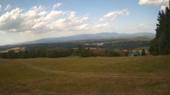Zvičina