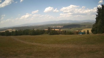 Zvičina