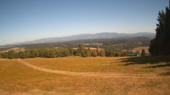 Zvičina