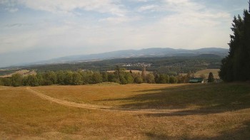 Zvičina
