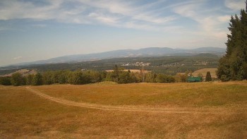 Zvičina
