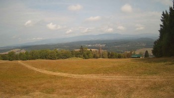 Zvičina