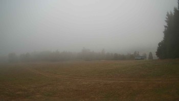 Zvičina