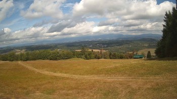 Zvičina