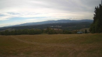 Zvičina