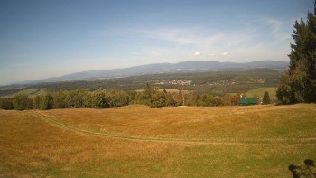 Zvičina