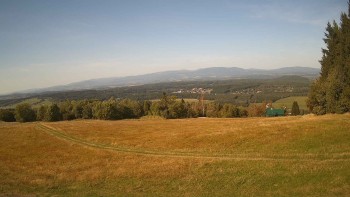 Zvičina