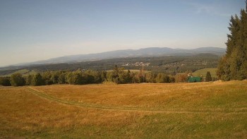 Zvičina