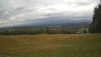 Zvičina