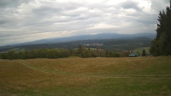 Zvičina