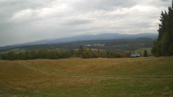Zvičina