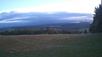 Zvičina