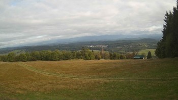 Zvičina