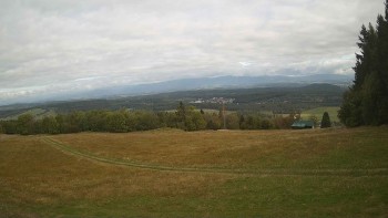 Zvičina