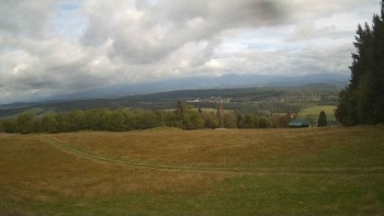 Zvičina