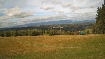 Zvičina