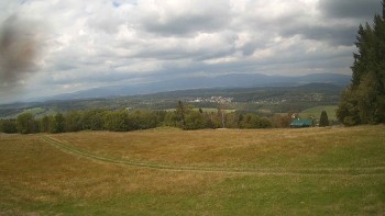 Zvičina