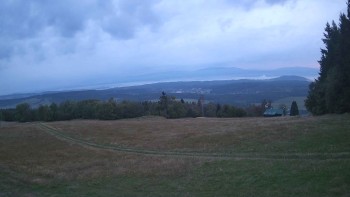 Zvičina