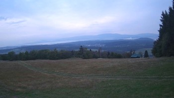 Zvičina
