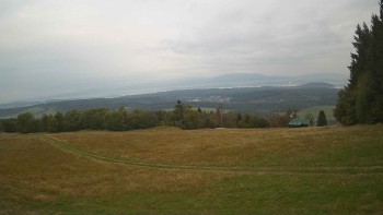 Zvičina