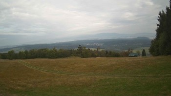 Zvičina
