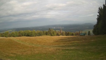 Zvičina