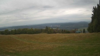 Zvičina