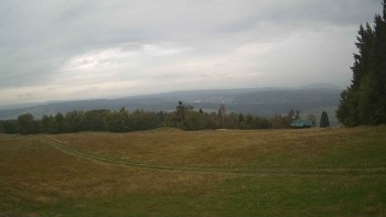 Zvičina